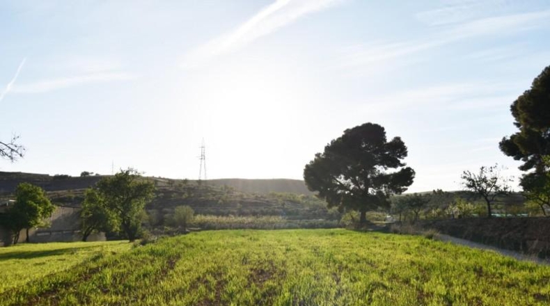 Granada - Padul - 2031m2
