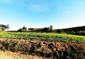 Terreno no urbanizable en venta en la España, Padul, ref: TR319804 foto