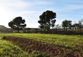 Terreno no urbanizable en venta en la España, Padul, ref: TR319804 foto