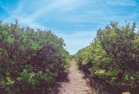 Foto 7