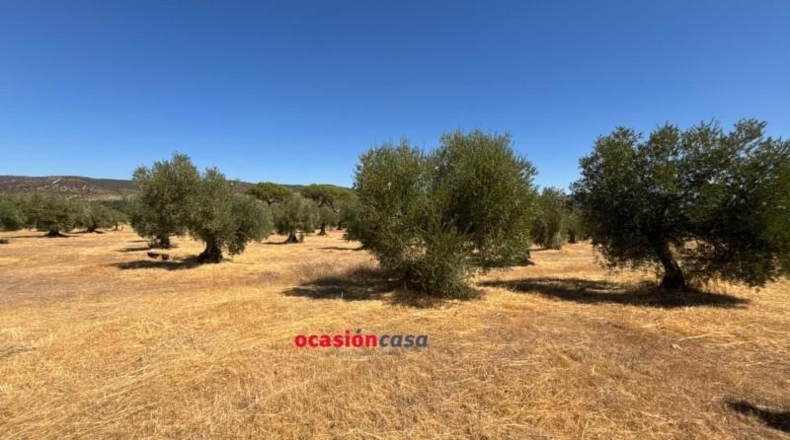 Cordova - Belmez - 13370m2