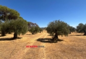 Casa con terreno en venta en la España, Belmez, ref: TR340740 foto