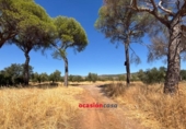 Casa con terreno en venta en la España, Belmez, ref: TR340740 foto