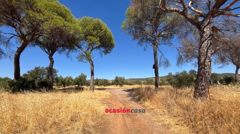 Cordova - Belmez - 13370m2