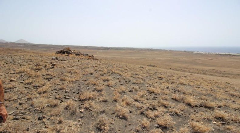 Las Palmas - Yaiza - 7987m2