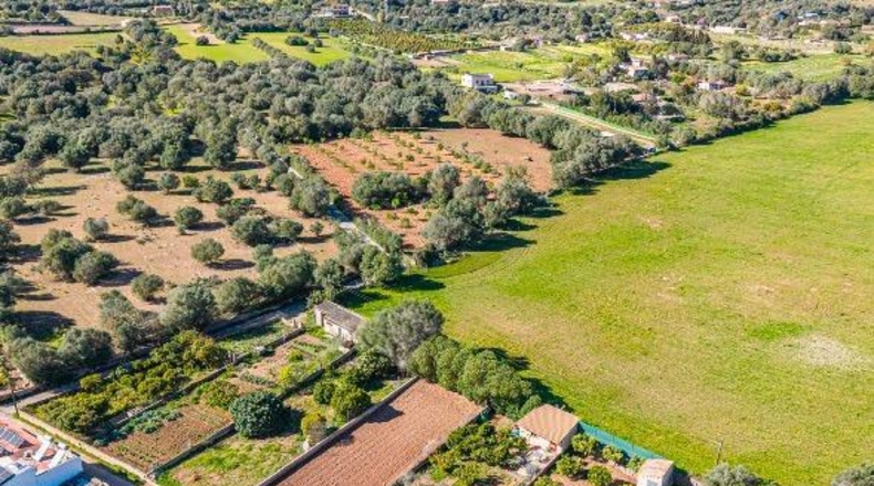 Illes Balears - San Lorenzo del Cardessar - 483m2