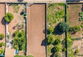 Non-developable land for sale on España, Sant Llorenç des Cardassar, ref: TR402867 photo
