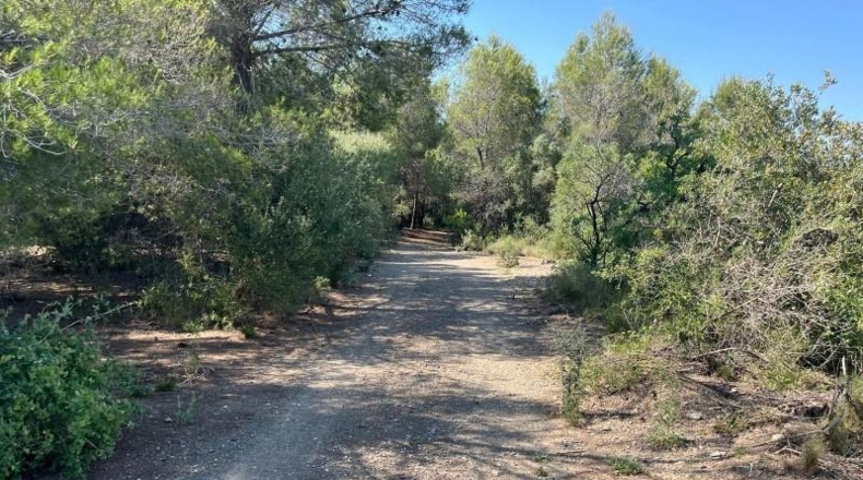 Tarragona - Valls - 19552m2