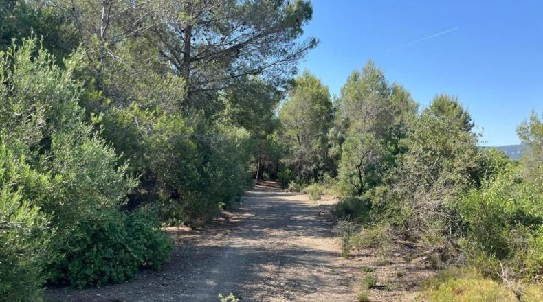 Tarragona - Valls - 19552m2