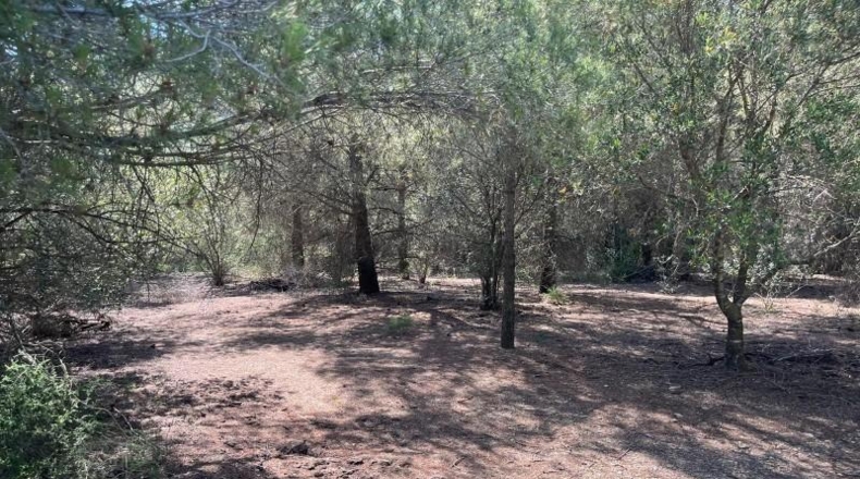 Tarragona - Valls - 19552m2