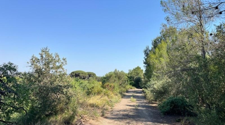 Tarragona - Valls - 19552m2