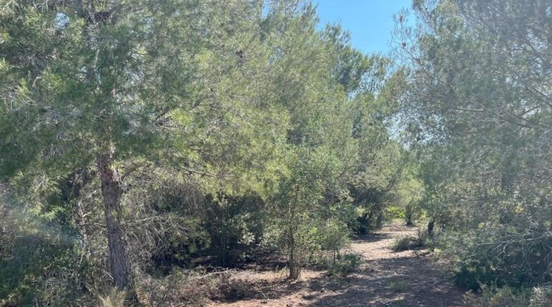 Tarragona - Valls - 19552m2