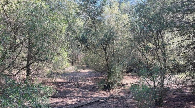 Tarragona - Valls - 19552m2