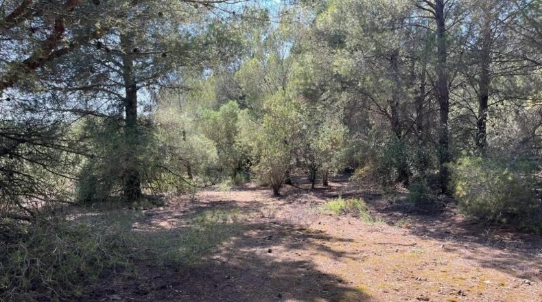 Tarragona - Valls - 19552m2