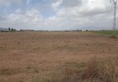 Terreno no urbanizable en venta en la España, Totana, ref: TR412686 foto