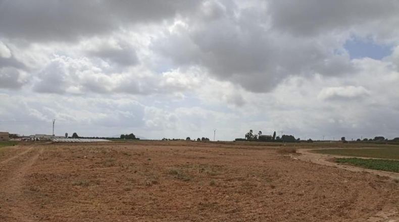 Murcia - Totana - 10621m2