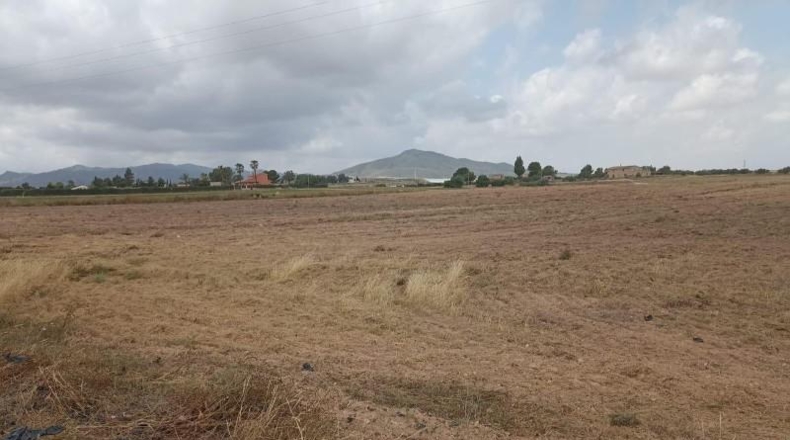 Murcia - Totana - 10621m2
