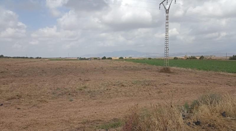 Murcia - Totana - 10621m2