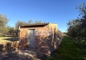 Terreno no urbanizable en venta en la España, Móra d'Ebre, ref: TR362425 foto