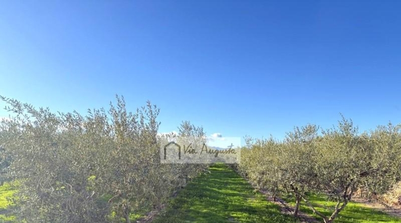 Tarragona - Móra d'Ebre - 2643m2