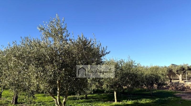 Tarragona - Móra d'Ebre - 2643m2