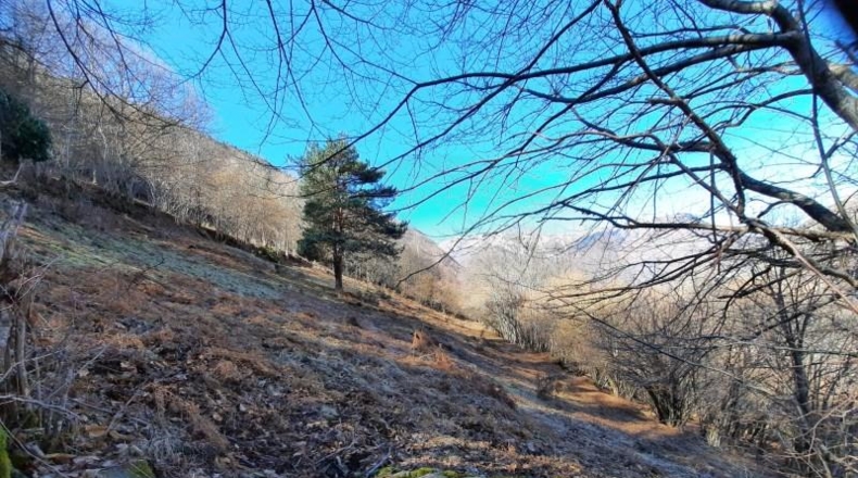 Lerida - Caneján - 3000m2