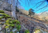 Terreno no urbanizable en venta en la España, Canejan, ref: TR194515 foto