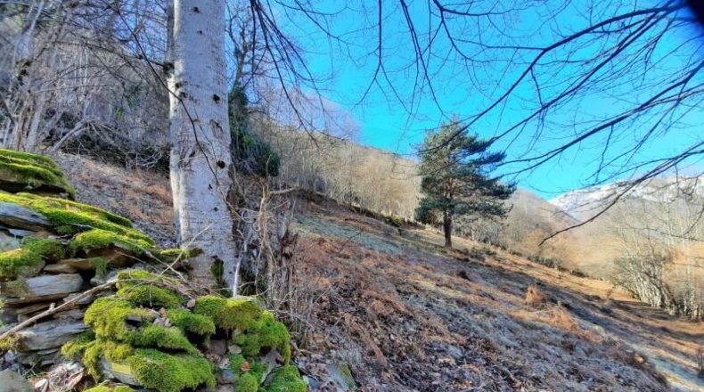 Lerida - Caneján - 3000m2