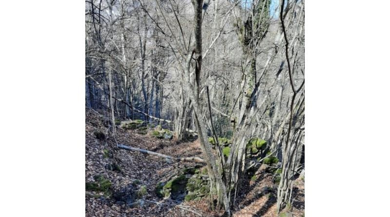 Lerida - Caneján - 3000m2