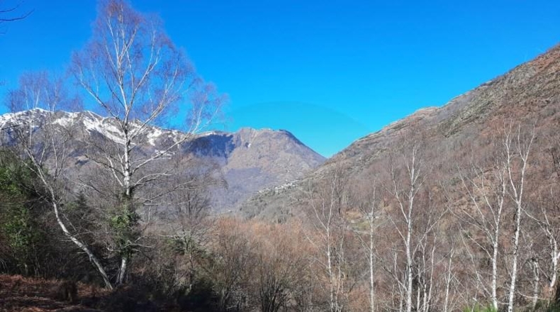 Lerida - Caneján - 3000m2