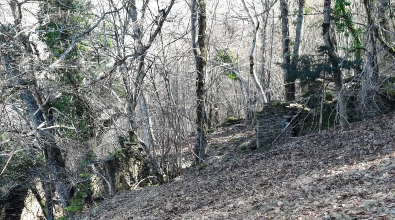 Lerida - Caneján - 3000m2