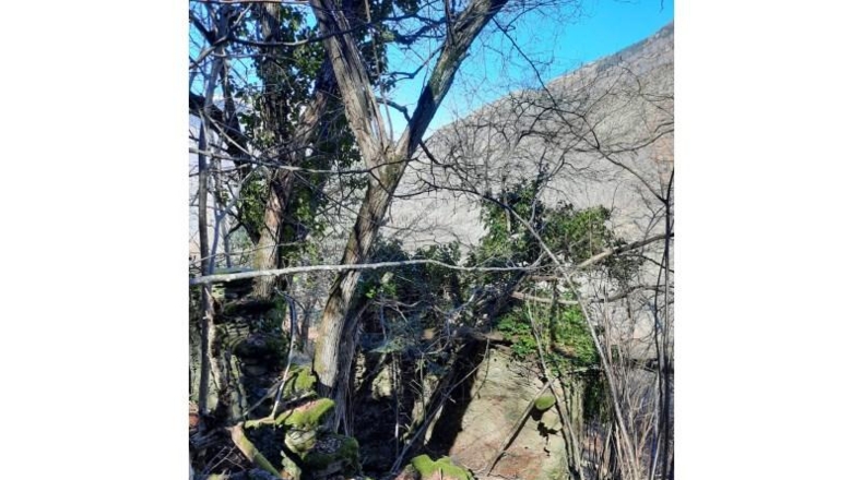 Lerida - Caneján - 3000m2