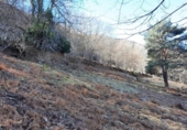 Terreno no urbanizable en venta en la España, Canejan, ref: TR194515 foto