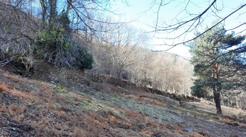 Lerida - Caneján - 3000m2