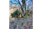 Terreno no urbanizable en venta en la España, Canejan, ref: TR194515 foto