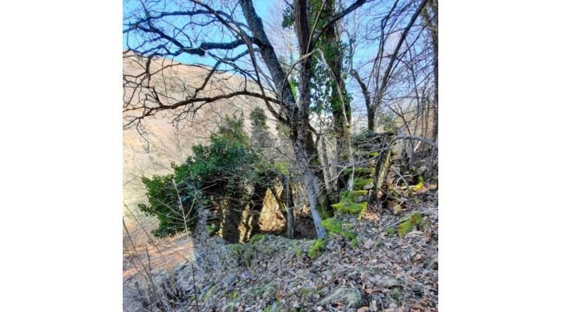 Lerida - Caneján - 3000m2