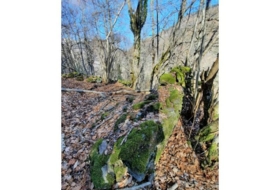 Foto 17