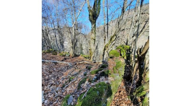 Lerida - Caneján - 3000m2