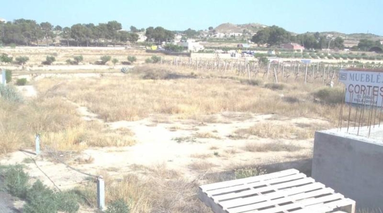 Alicante - Aspe - 6000m2