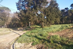 Maçanet de la Selva 652&nbsp;m² 