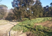 Urban land for sale on España, Maçanet de la Selva, ref: TR411074 photo
