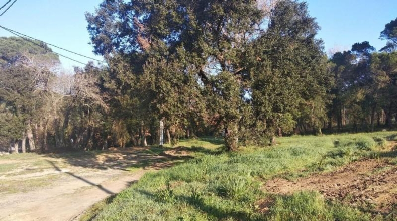 Жирона - Maçanet de la Selva - 652m2