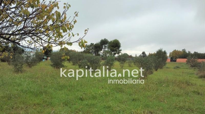 Valencia - Onteniente - 7736m2