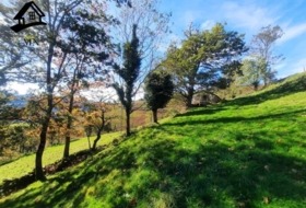 Vega de Pas 5914&nbsp;m²