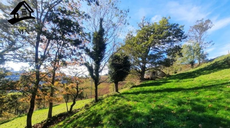 Cantàbria - Vega de Pas - 5914m2