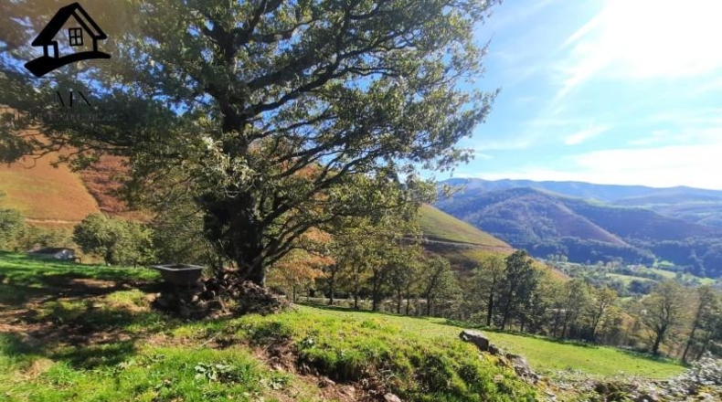 Cantàbria - Vega de Pas - 5914m2