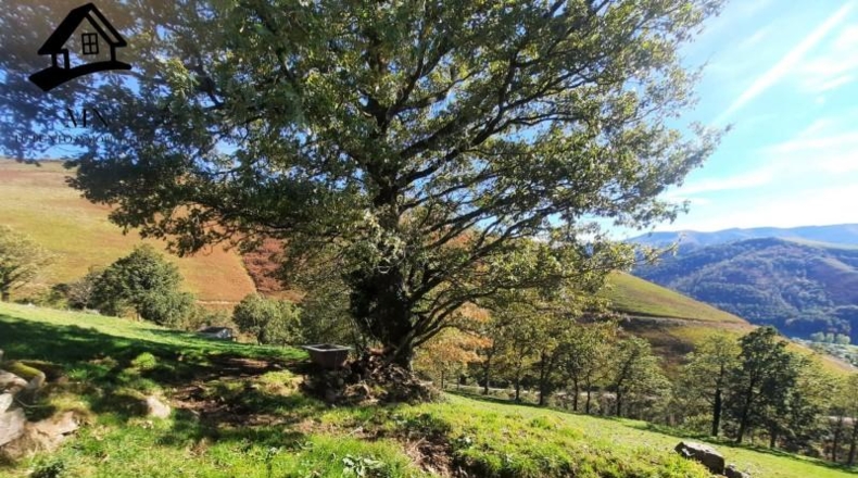 Cantàbria - Vega de Pas - 5914m2