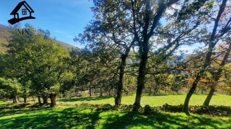 Cantàbria - Vega de Pas - 5914m2