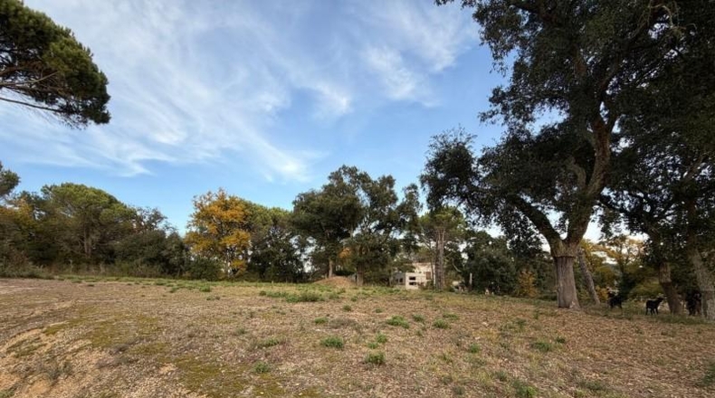 Жирона - Massanes - 667m2