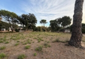 Parcel·la urbanitzable en venda a la España, Maçanes, ref.: TR411071 foto